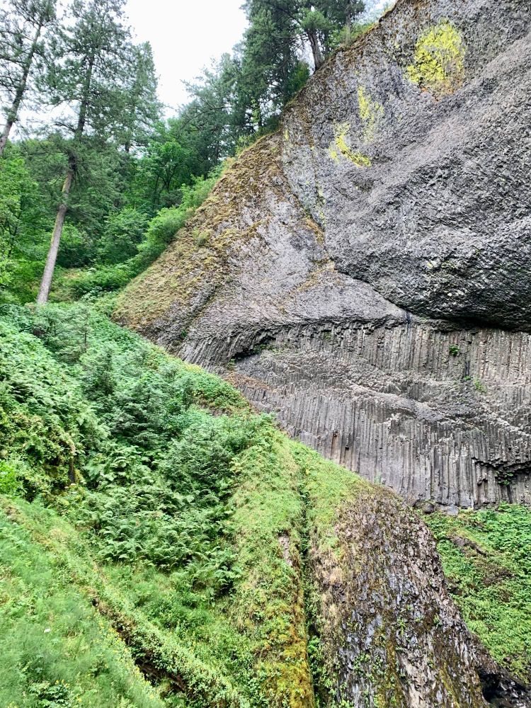 a photo of a tall rock cliff, to the left of the previous photo such that the waterfall is not photographed. abundant greenery covers the rocks towards the bottom