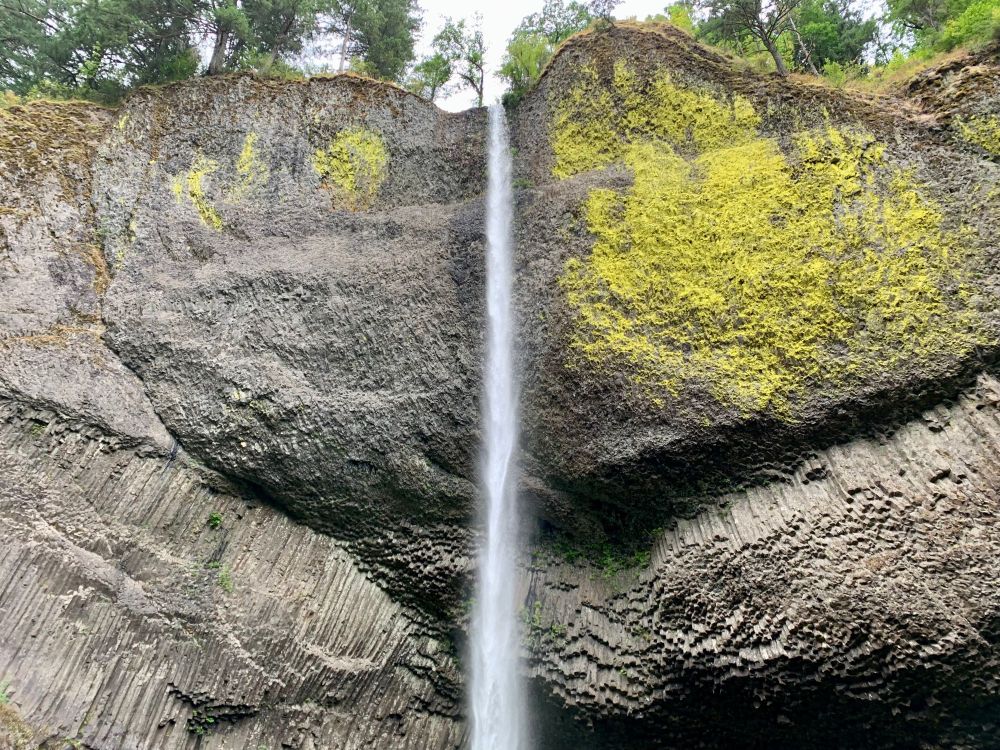 a photo of a very tall cliff with a thin waterfall running down from the top. the cliff has a ton of yellow moss on it, especially to the right of the waterfall