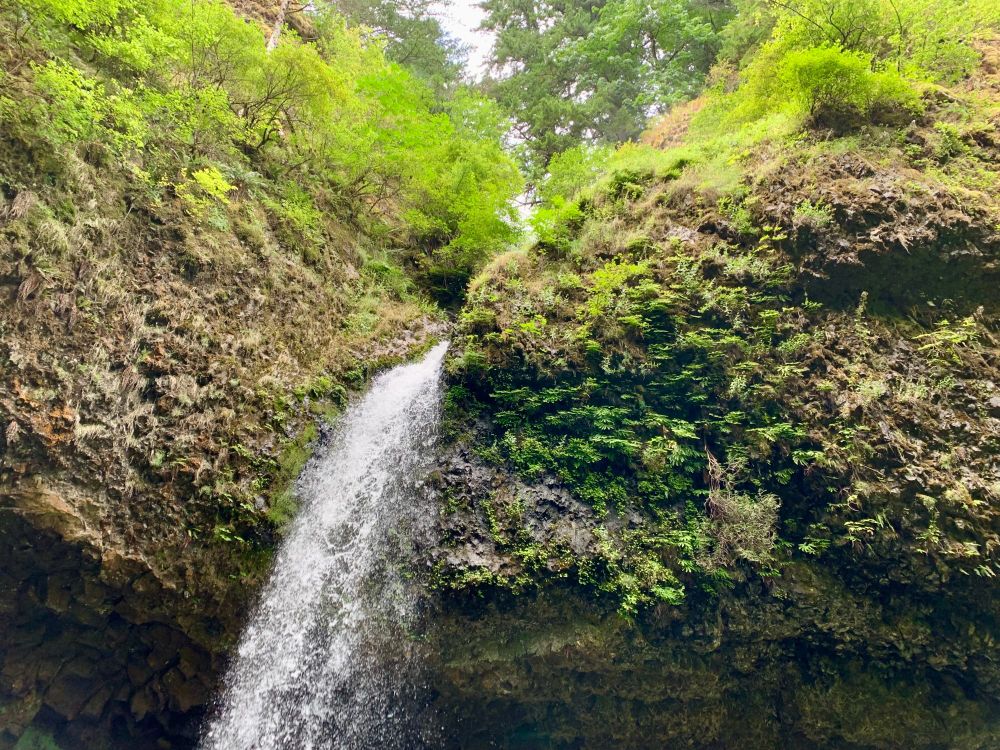 a photo of a different waterfall emerging from a greenery-covered cliff. it appears to be splashing down into a dark secluded area beneath the cliff, out of frame