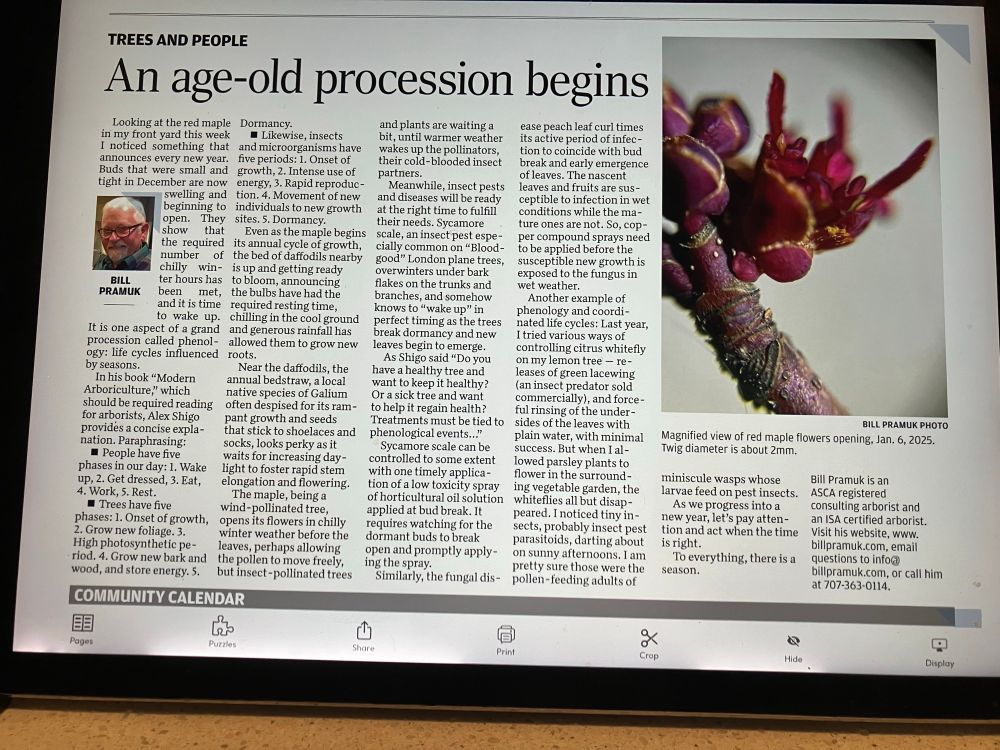 A column on phenology of trees and tree associates. 