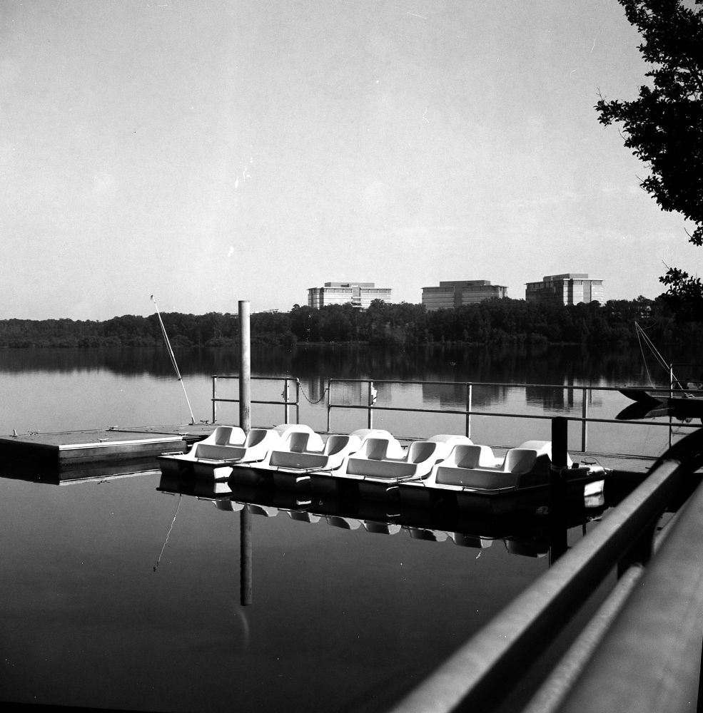Rental pedal boats at Lake Crabtree County Park in Wake County, North Carolina.  The water was like glass today with only a slight ripple.  
I had wanted to participate in 620 day where one takes a 620 film camera out and takes pictures.  I had to work so I went out on the 21st. 
I used an Argus Argoflex EF with FomaPan 100, developed with HC110 dulution 1:47.  Scanned with an Epson 600.   