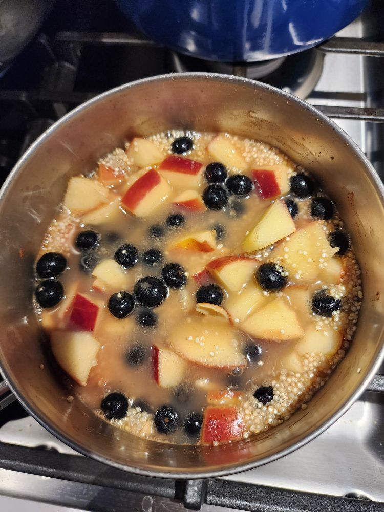Quinoa, apples, blueberries,  dried cranberries, vashews, and cinnam9n cooking in a pot on the stove. 
