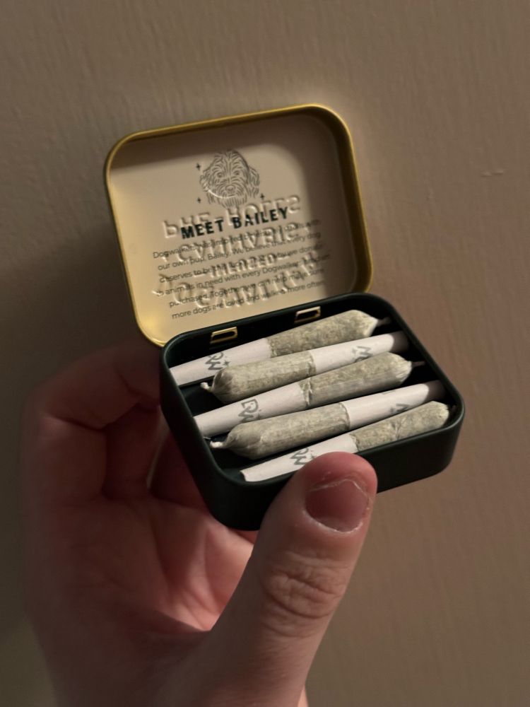 The tin is now open revealed 5 neatly rolled blunts. The lid of the tin has info about a dog named Bailey.