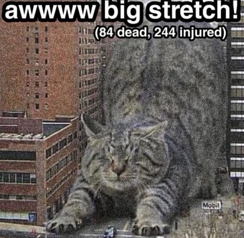 a meme of a cat stretching edited into a city, with buildings being destroyed that says “awwww big stretch! (84 dead, 244 injured)”