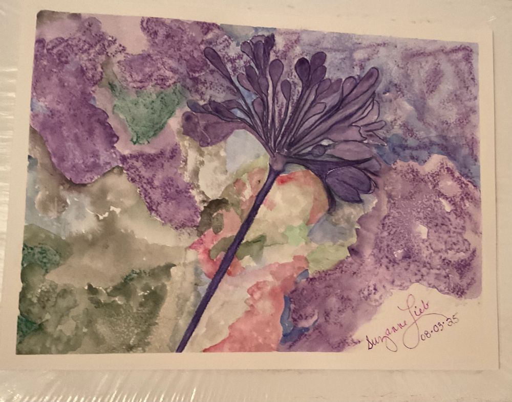 Purple African Lily