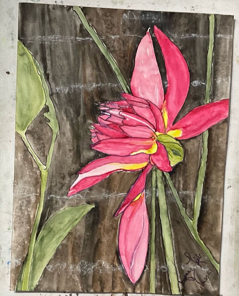 ~Pinkness 
9x11 Original Watercolor