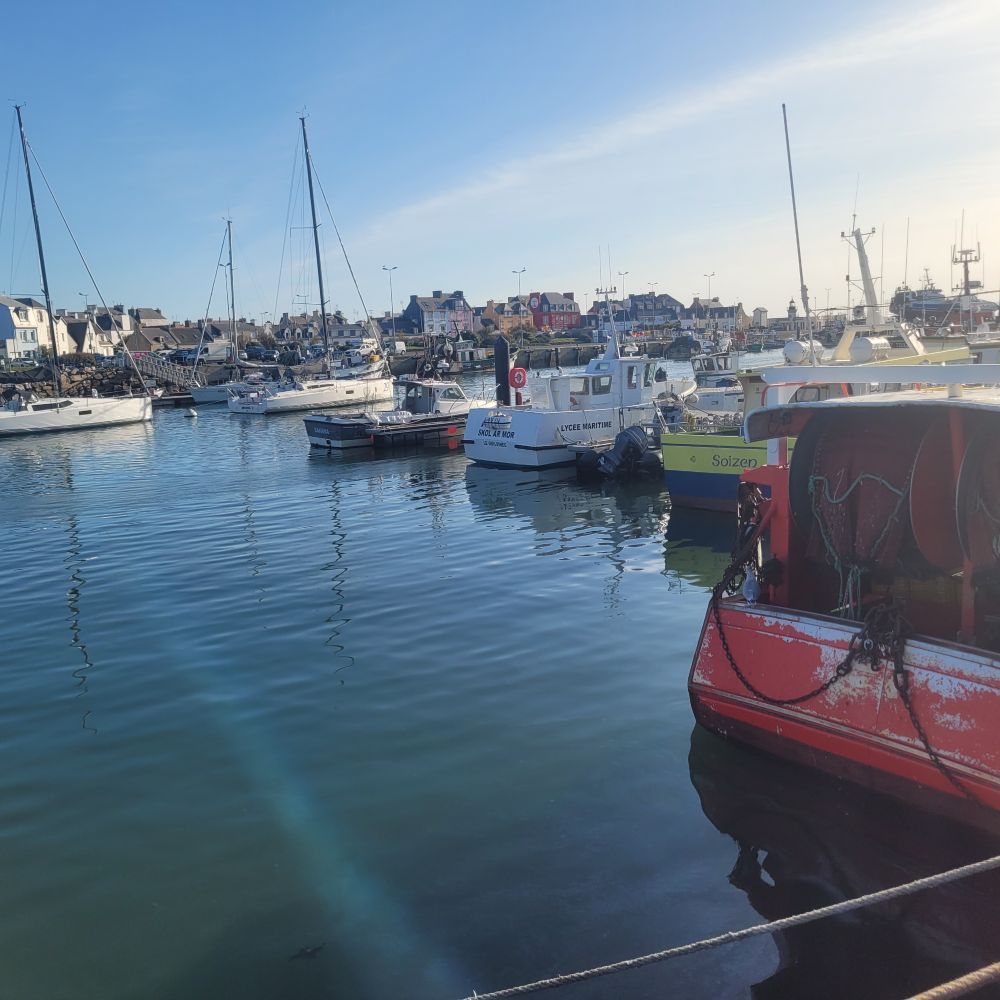 Port du Guilvinec