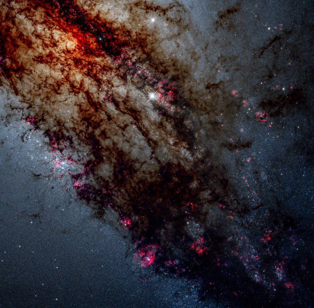 A part of a galaxy where its gas structures appear red and brown. Several regions are violet: this is where star forming regions are located. 