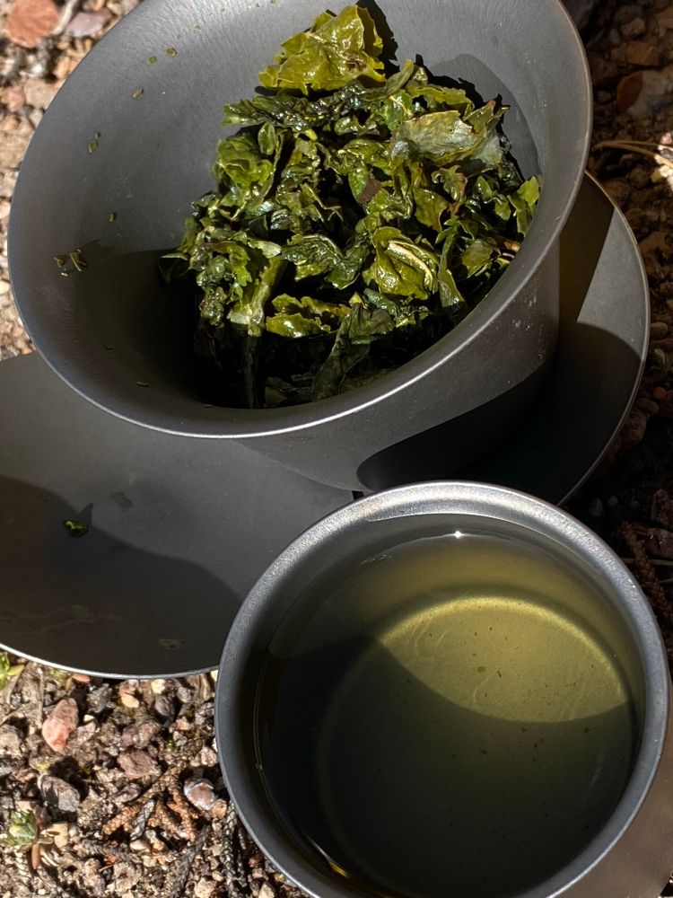 Oolong tea prepared GongFu style 