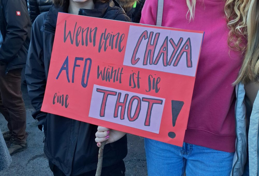Plakat mit der Aufschrift: Wenn Deine Chaya AfD wählt ist sie Thot!