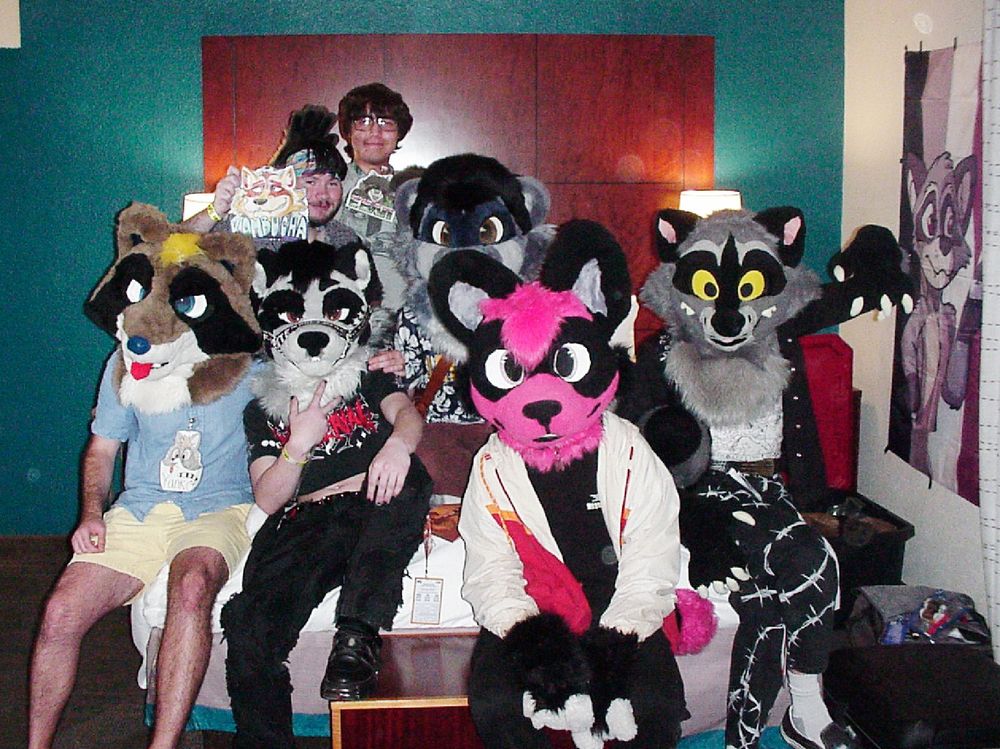 All the raccoons at the party