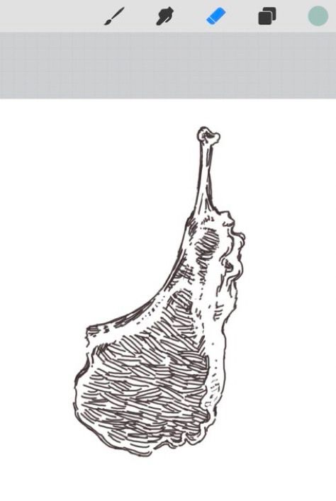 digital study of a chunk of meat (maybe some cut of steak). 