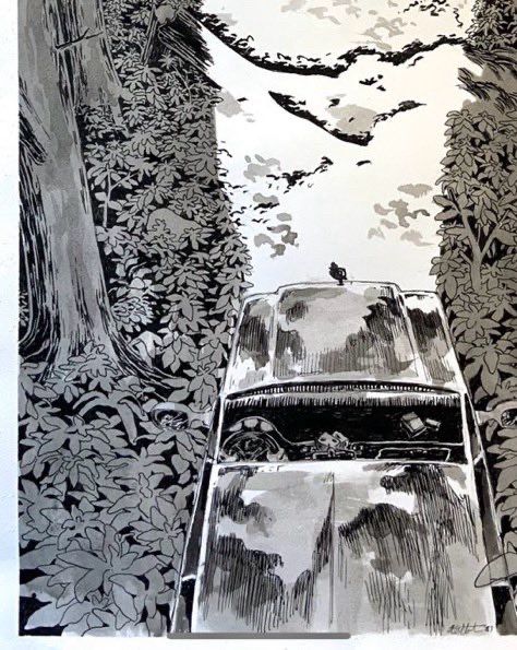 illustration of an arieal view of a car driving in a forest at night. 