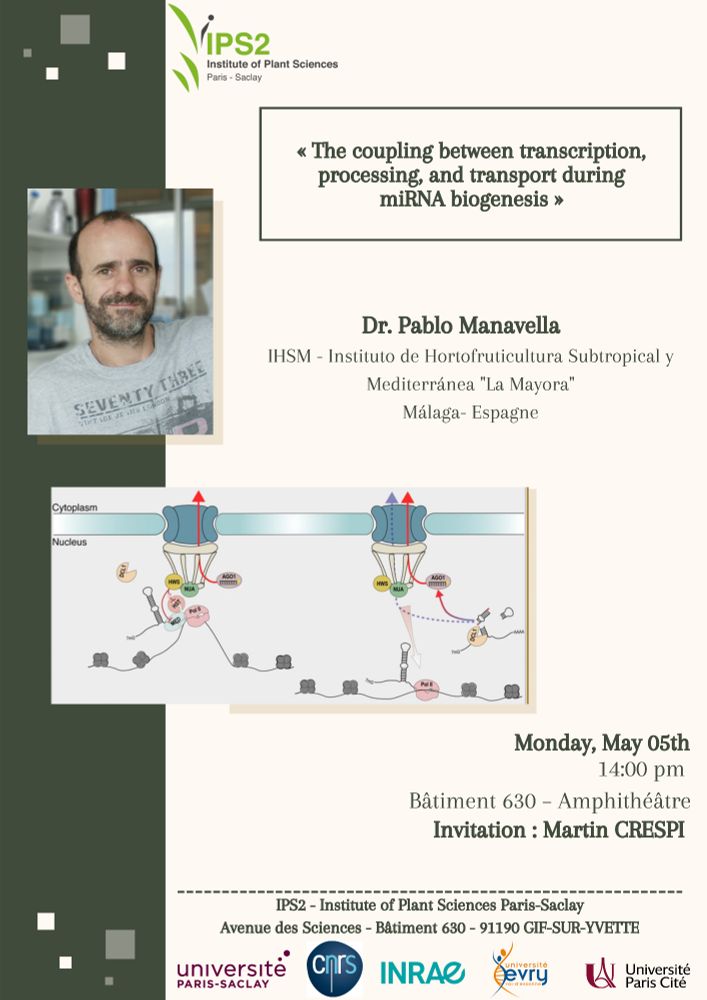 Dr. Pablo Manavella 