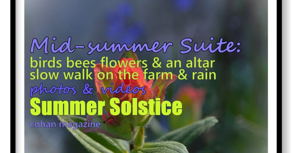 Mid-summer Suite: Photos and Videos, a Poem! Slow Walk, Garden, Altar and Rain