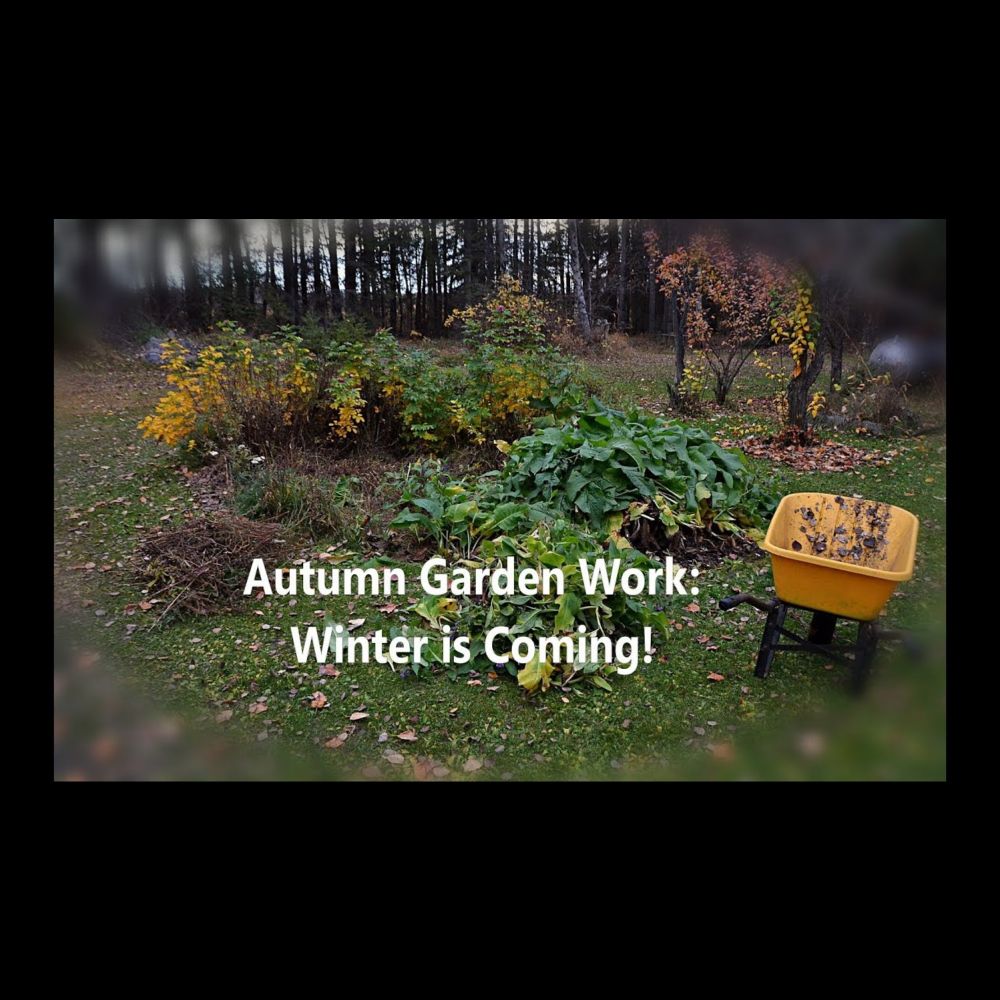 Autumn Garden Work -Mid-October, Winter is Coming!