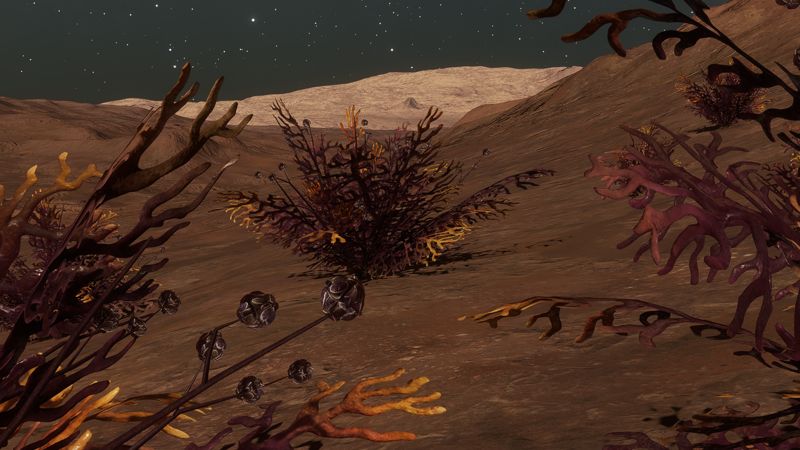 Frutexa Fera - Mauve $1,632,500