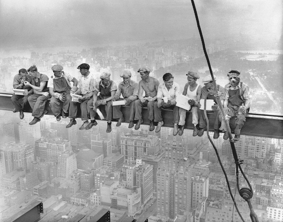 the famous black and white 1932 staged photo "Lunch atop a Skyscraper" of ironworkers smoking and talking while sitting on a suspended beam over new york city. but the photo has been edited to turn the man on the furthest right into Adonis the cat with his head pasted on. he looks pensive and weary and holds a bottle of alcohol.