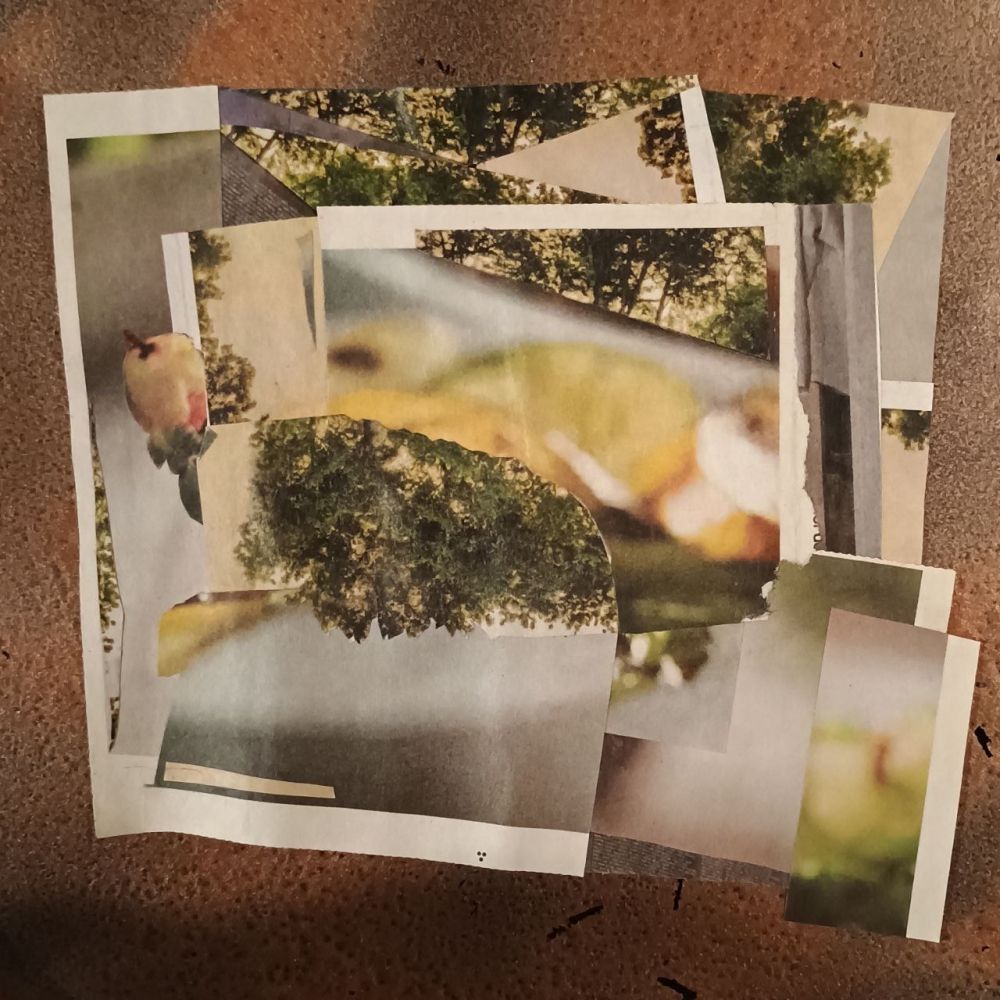 photo of a small but sprawling abstract collage made with snippets of images in the same greens, pale yellows, gray, with white borders included in the cutouts. the only recognizable images are a small blurry yellow fruit, and canopies of dark green trees on pale sunset skies. the center is yellow-green and light gray, a vague and entirely out-of-focus image. the edges of the pieces are joined together where light and dark colors swap positions or continue the lines and angles int the next image or piece. the paper is dull newsprint with soft grainy printing except for the crisp treetops on glossy magazine paper.