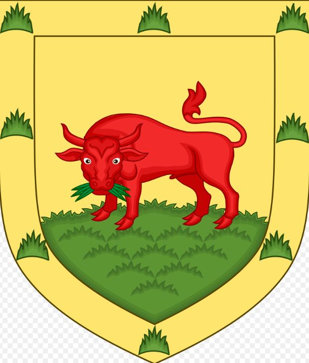 Comment image