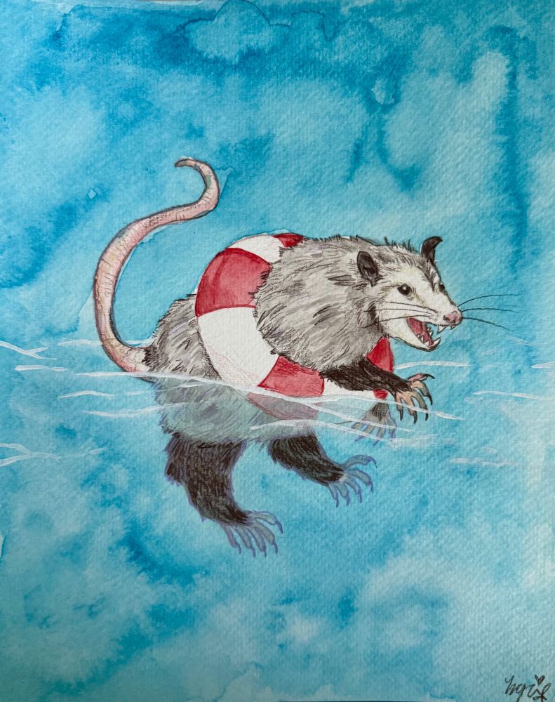 Pencil crayon and watercolor painting of an opossum with a lifeguard tube. This was a commission. 
