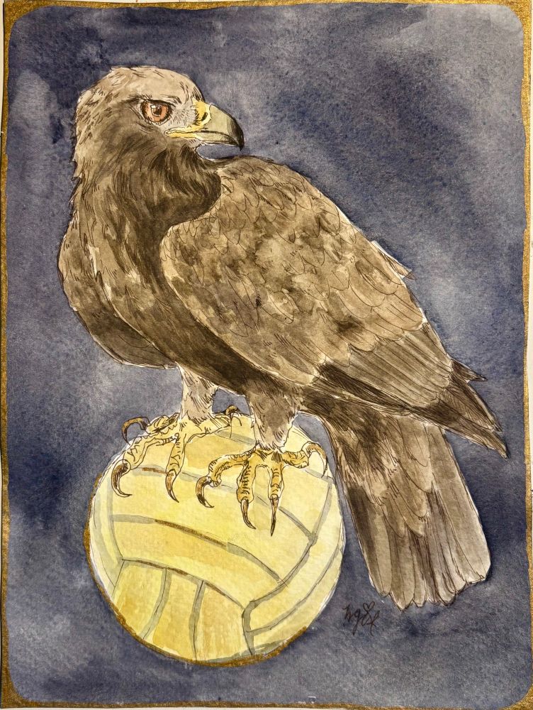 Watercolor painting of a golden eagle on top of a water polo ball. 6x8 inches. 