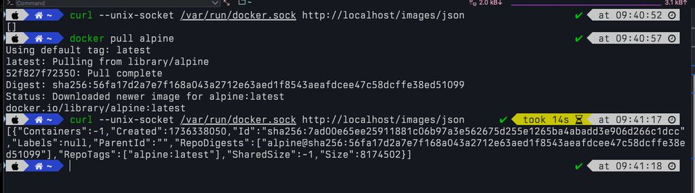 Terminal screenshot of me fetching docker's socket using curl and proving that it is real docker
