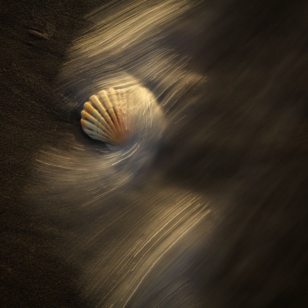 A long-exposure of sea foam rushing around a sea-shell on sand. Warm light. 