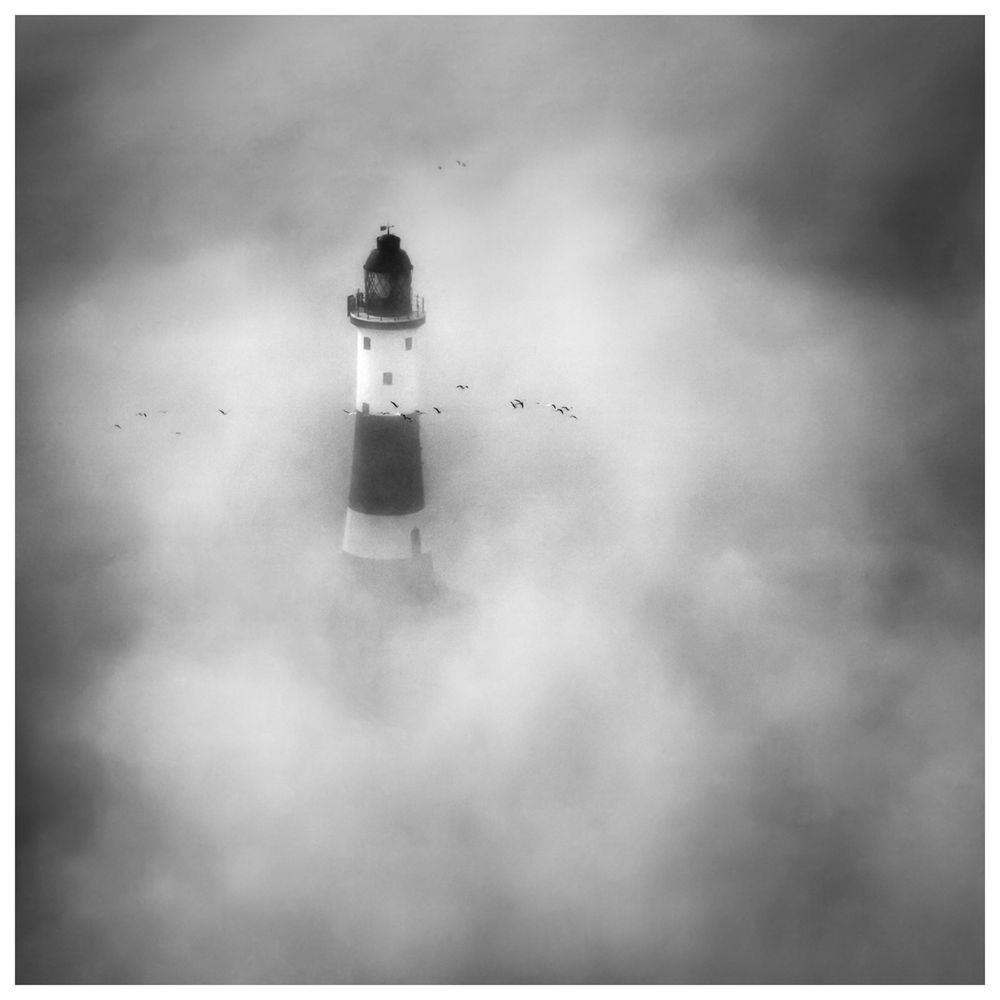 A square, black and white photo of a lighthouse emerging from fog and a small flock of gulls flying by. 