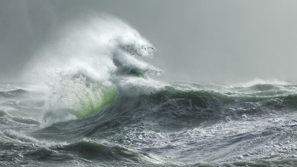 A fast-shutter photo of a storm wave. The wave appears to twist like a corkscrew. Sea foam flying. Back-lit water is green. 
