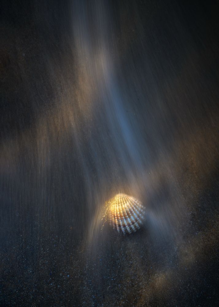 A vertical format photo of a sea shell with seawater rushing past it. The last light of day highlights the shell on a dark sandy shore. 