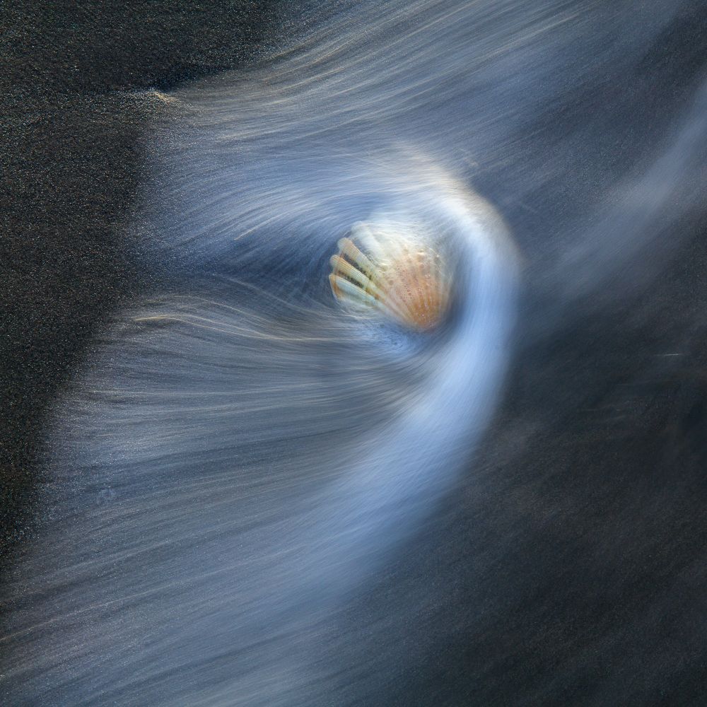 A long exposure of sea foam rushing around a sea-shell on sand. Cool light. 