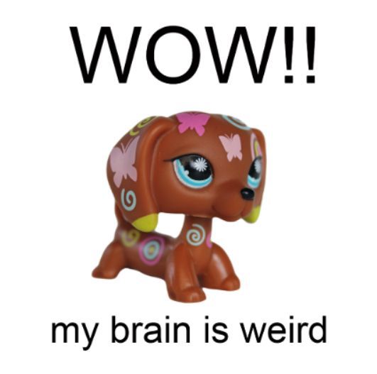 lps "wow!! my brain is weird"