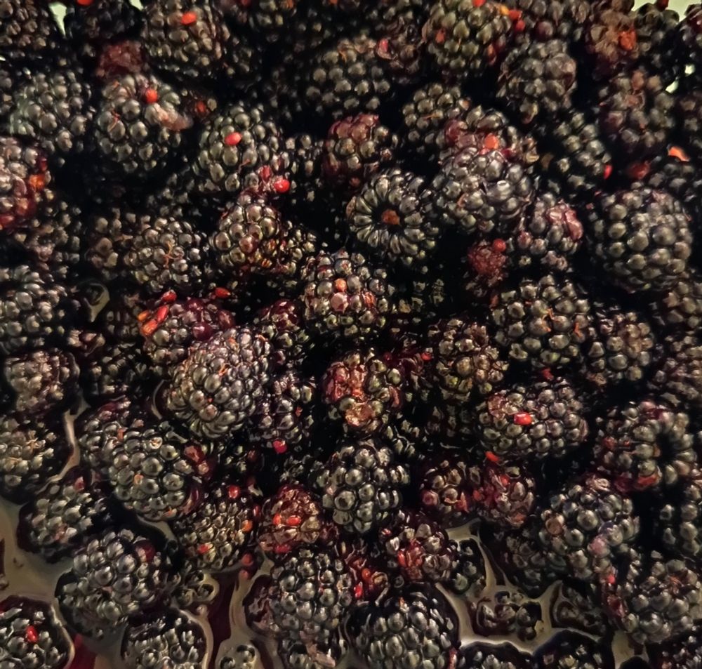 Blackberries are black and red. 