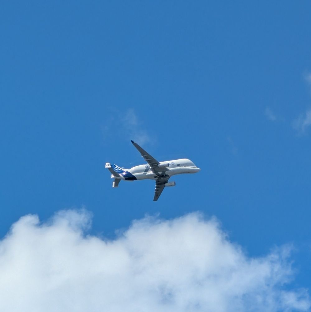 An Airbus Beluga XL in the sky with its smiling whale face livery. 