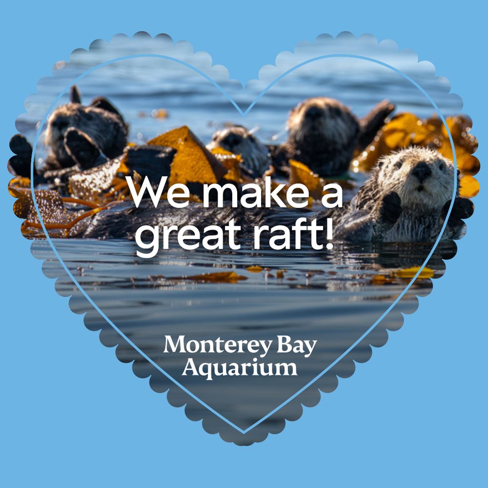 A blue heart-shaped valentine shows a group of sea otters floating on the surface of a kelp bed with text that reads “We make a great raft!”