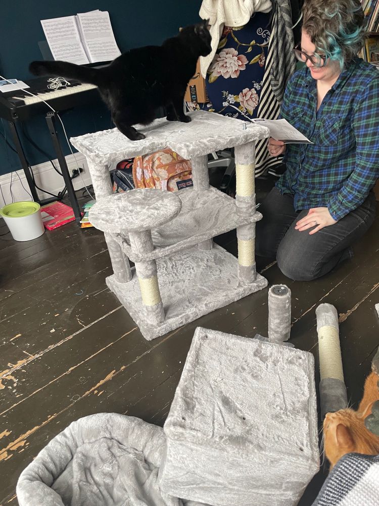 Mid assembly of a cat tree. Jenny is looking at the instructions while Luna (a small black cat) supervises from the highest platform so far. Willow (a small orange cat) watches from behind pieces yet to be added