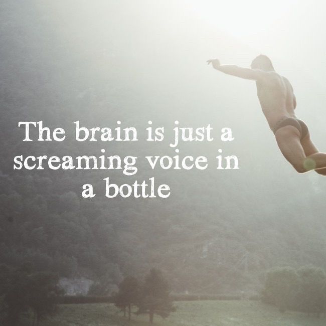 Text: The brain is just a screaming voice in a bottle

Image: a man in a swimsuit hovers high over what you might assume is a lake, but upon closer examination you realize it is a field