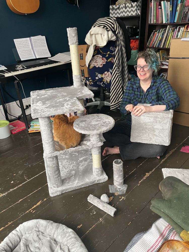 Lenny laughs and assembles the next part of the cat tree while Willow (small orange cat) lounges on the hammock level.