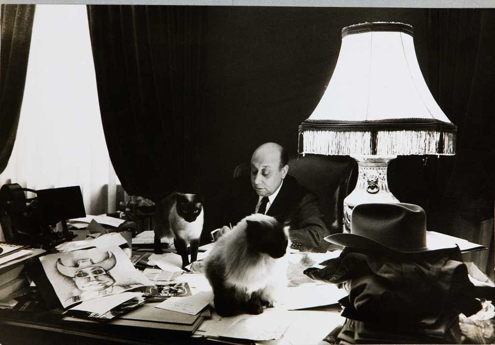 Melville and two of his cats