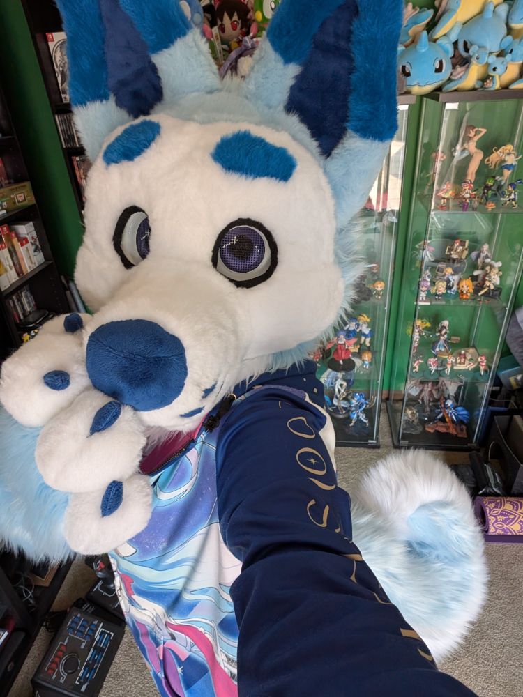 A person in a blue and white husky mini partial fursuit