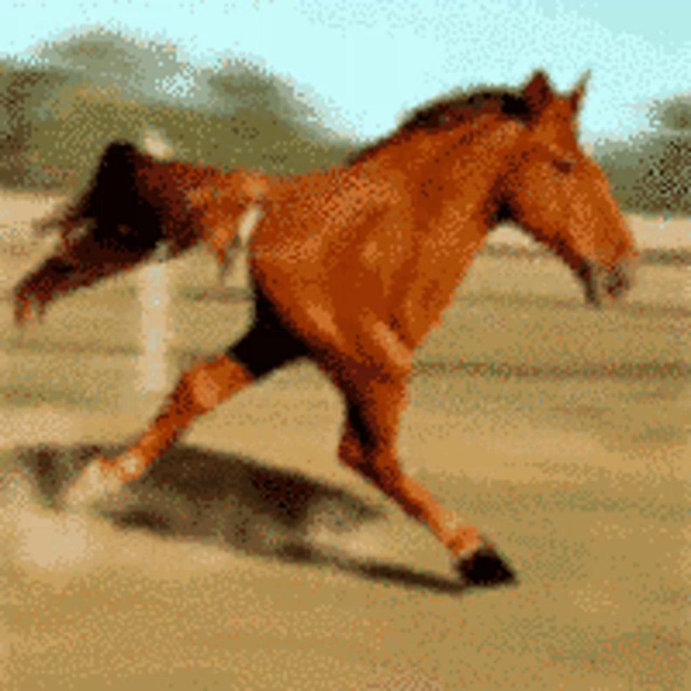 Horse Hurrdurr Virus Windowsxp Xp Microsoft GIF