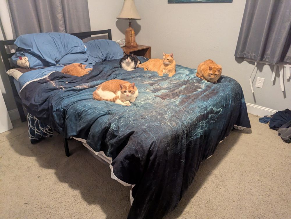 Four orange cats and one tuxedo cat hanging out on a bed.