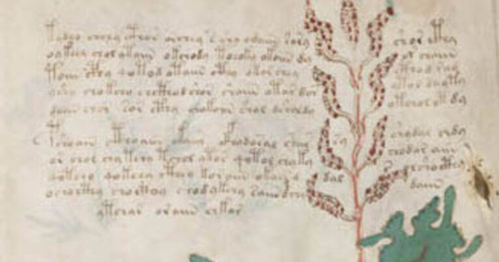 Voynich Manuscript