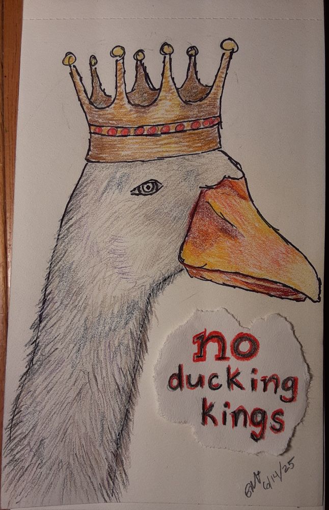 colored pencil drawing of a gray duck wearing a gold crown. the words "no ducking kings" are written in red and black under its bill
