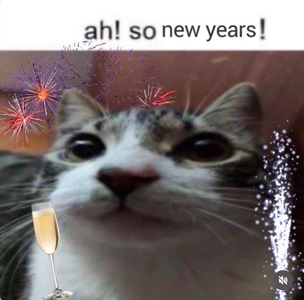 a lovely cat with the caption “ah! so new years!” to celebrate the new year
happy 2025!