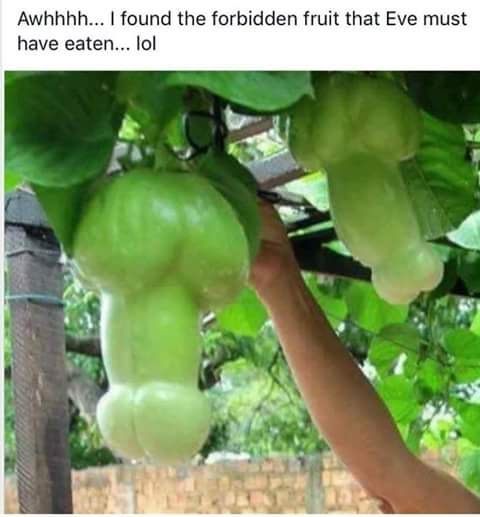 Comment image