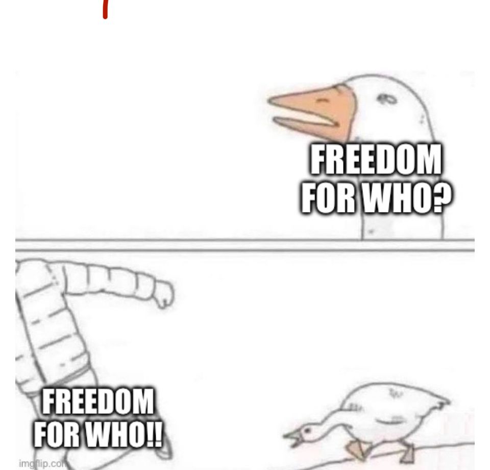 Goose chasing man shouting freedom for who