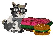 pebbles the calico wearing swirly eye glasses