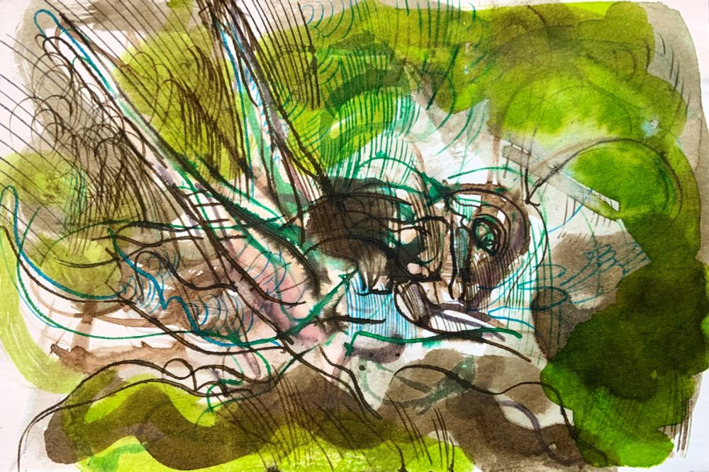 Cricket, straightforward but expressive in green and brown 
